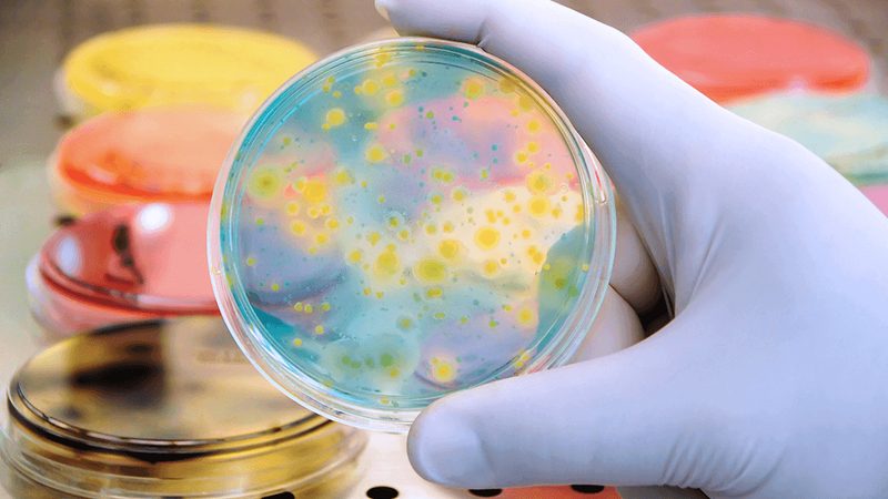 细胞工厂：生物制药新时代的引擎