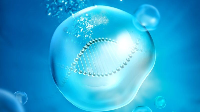 生物医药外包服务：行业标准揭秘与解读
