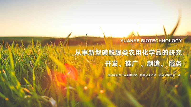 CRO平台价格对比：揭秘加盟背后的考量因素