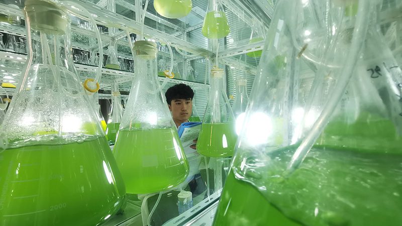 生物医药原液生产，成本构成揭秘**