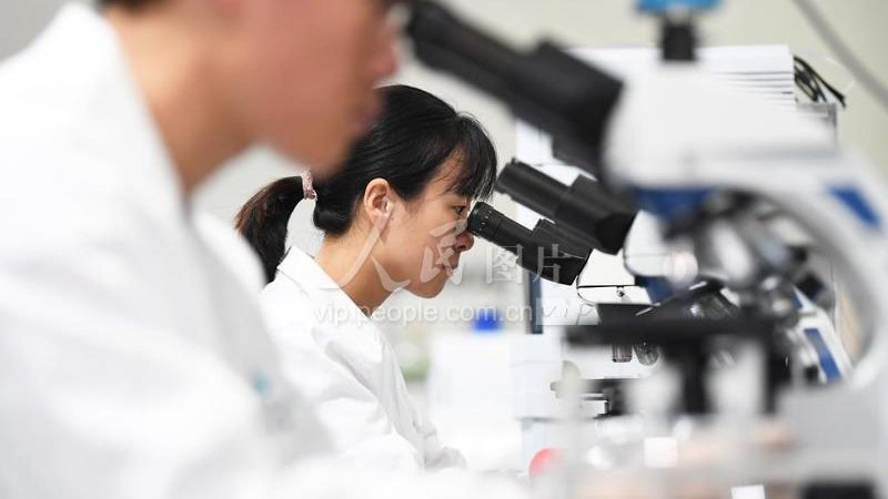 实验室耗材与普通耗材：如何精准选择，助力科研高效进行