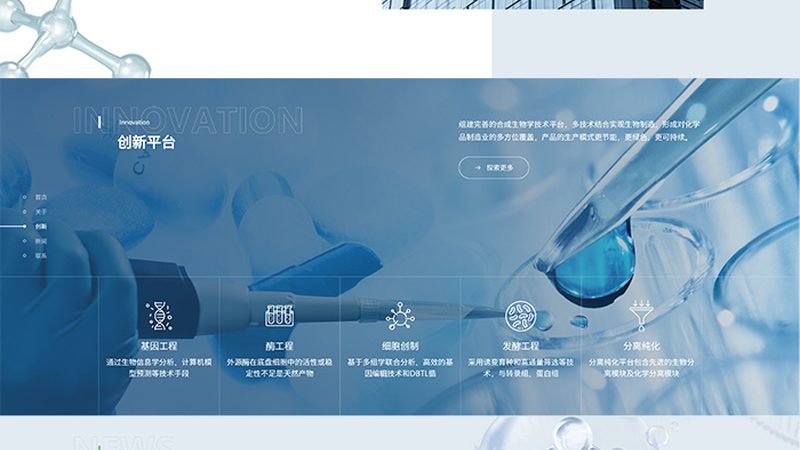 分子生物学试剂盒：规格分类与选购要点解析