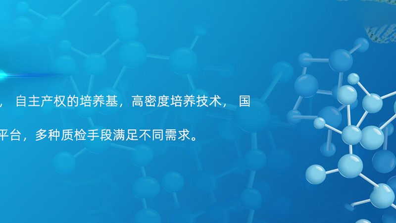 CDMO价格波动背后的深层因素解析
