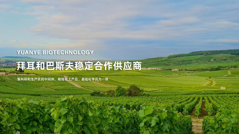 相较于传统的产前筛查方法，如羊水穿刺和绒毛穿刺，无创产检具有以下优势：
