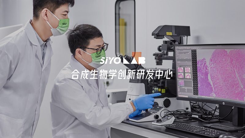 CDMO项目如何选择合作方
