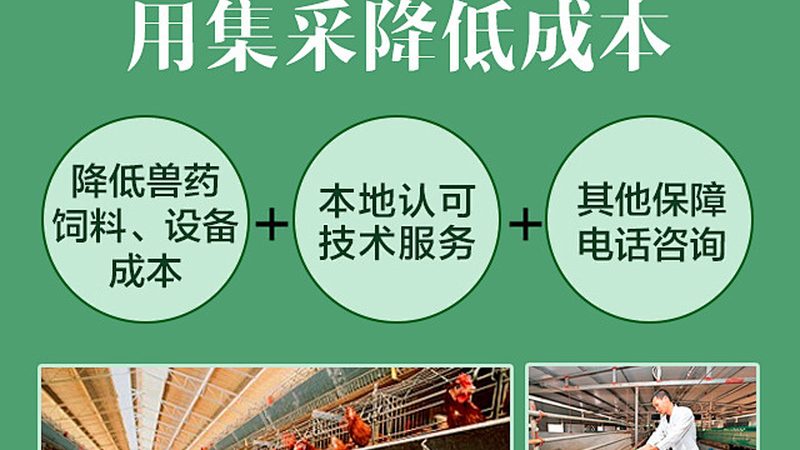 生物科技公司风险评估：关键要素与评估方法解析**