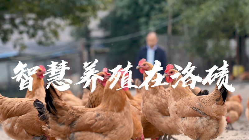PCR耗材使用方法：关键步骤与注意事项详解