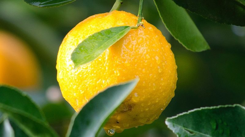 解读生物科技公司报价单：关键要素与注意事项